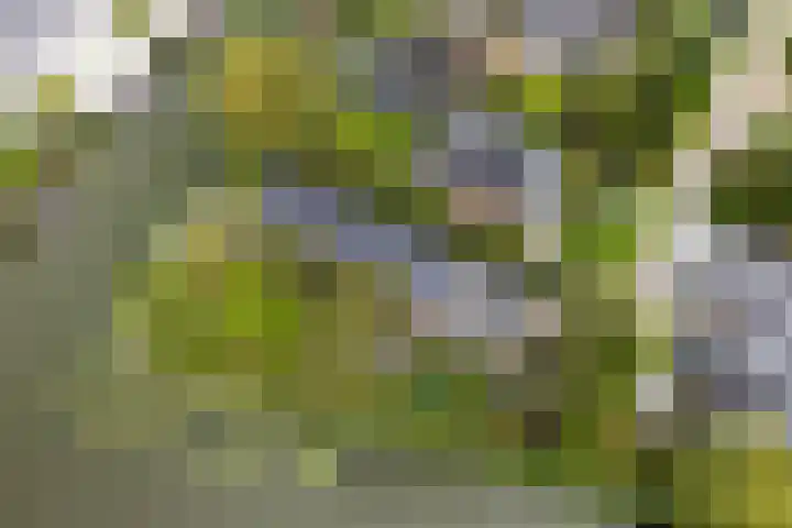 Aper Bouwmankade 41 Rotterdam thumbnail 62