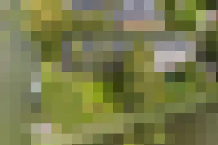 Aper Bouwmankade 41 Rotterdam thumbnail 63