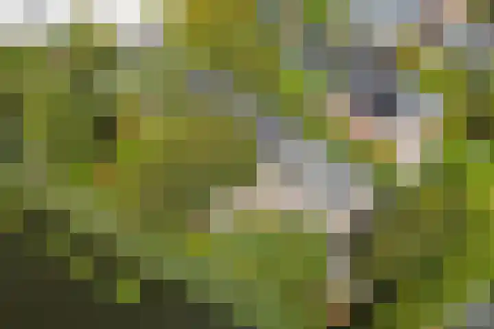 Aper Bouwmankade 41 Rotterdam thumbnail 64