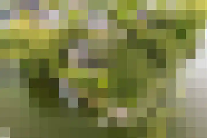 Aper Bouwmankade 41 Rotterdam thumbnail 66