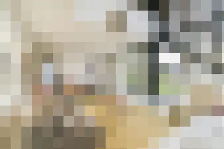 Aper Bouwmankade 41 Rotterdam thumbnail 9
