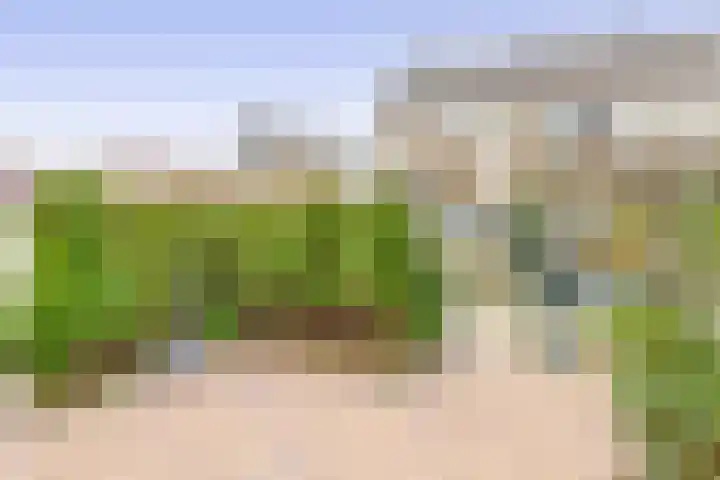 Aphrodite 2 Hellevoetsluis thumbnail 11