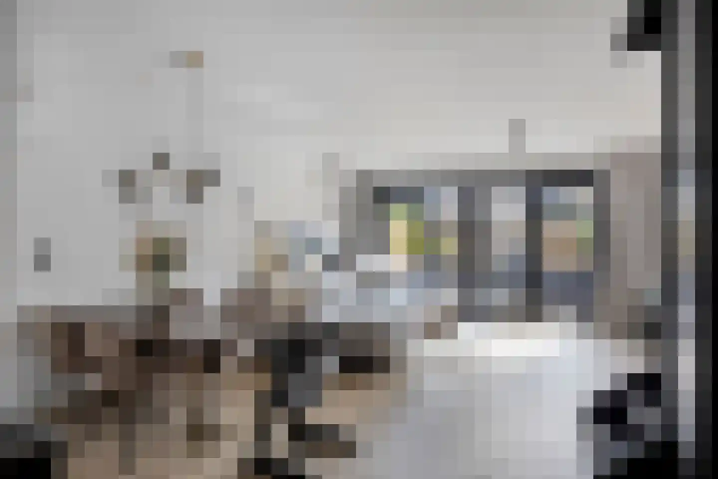 Aphrodite 5 Hellevoetsluis thumbnail 6