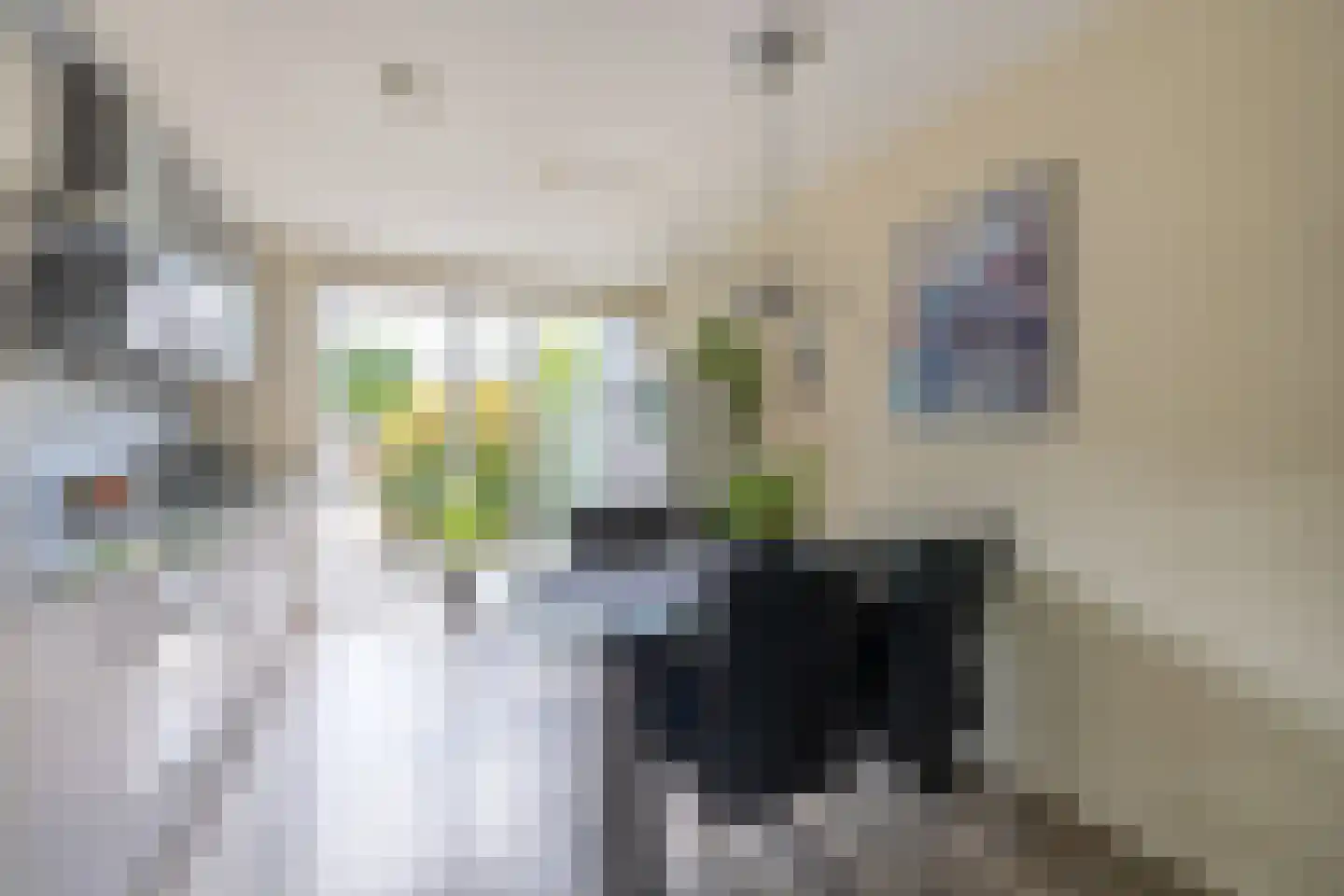 Apkenstraat 23 Purmerend thumbnail 16