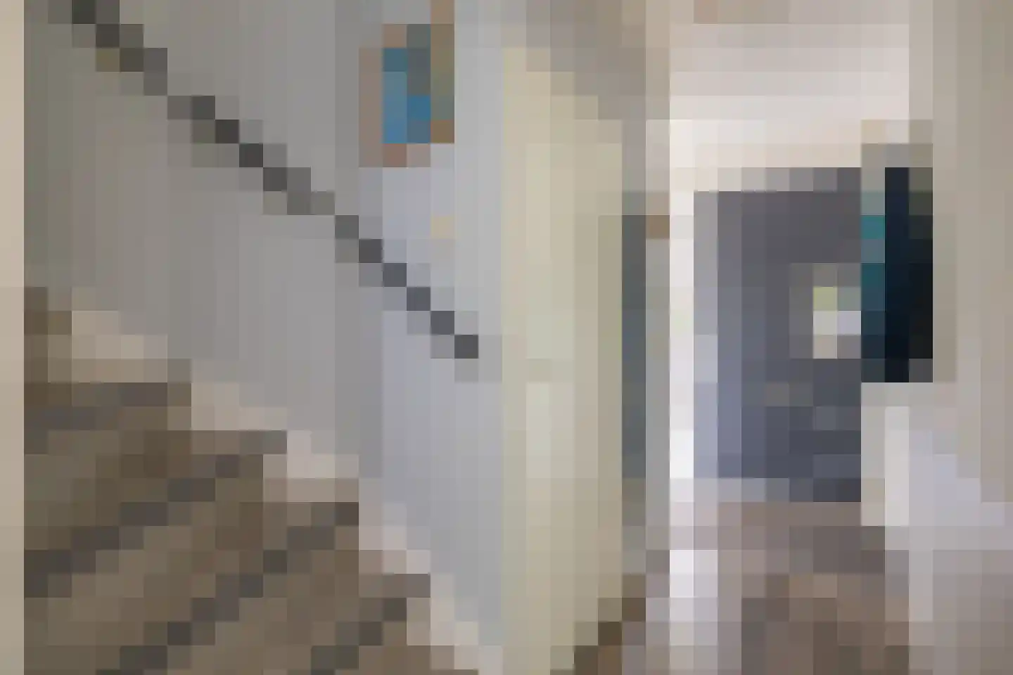 Apkenstraat 23 Purmerend thumbnail 9