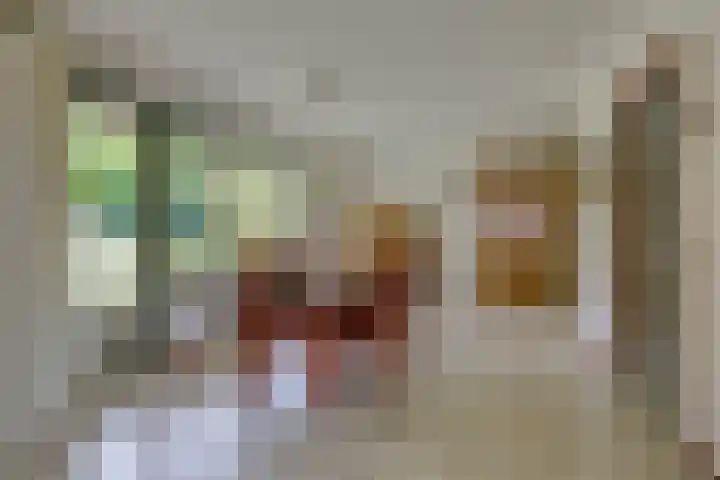 Apollaan 10 Rozendaal thumbnail 10