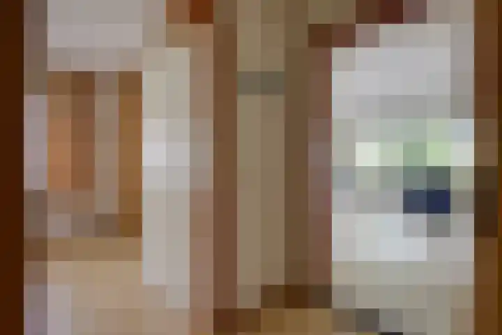 Apollaan 10 Rozendaal thumbnail 14