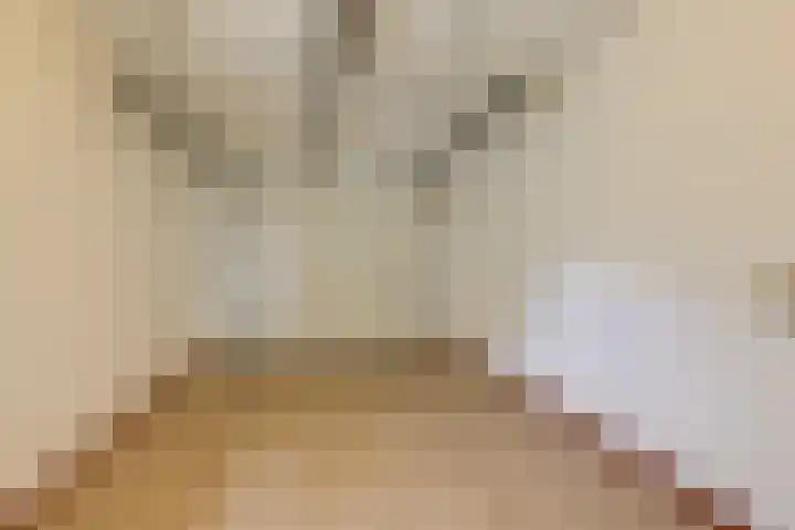 Apollaan 10 Rozendaal thumbnail 22