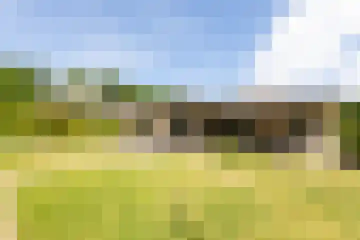 Apollaan 10 Rozendaal thumbnail 23