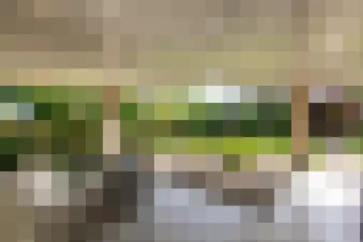 Apollaan 10 Rozendaal thumbnail 25