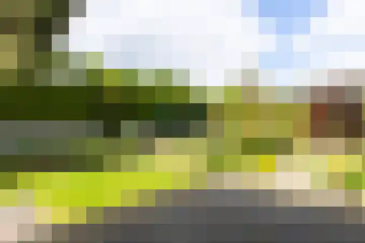 Apollaan 10 Rozendaal thumbnail 26