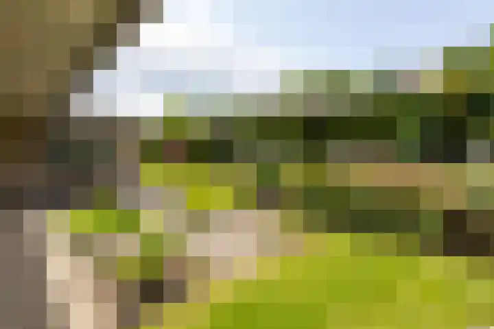 Apollaan 10 Rozendaal thumbnail 27