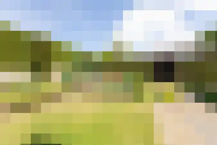 Apollaan 10 Rozendaal thumbnail 28
