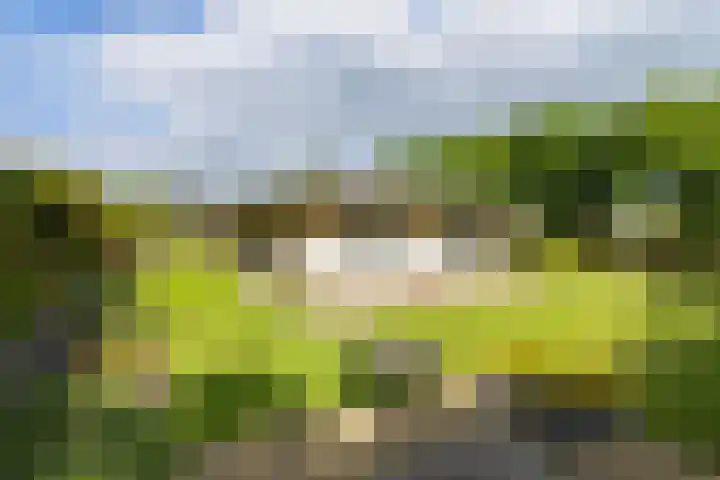 Apollaan 10 Rozendaal thumbnail 29