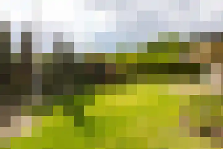 Apollaan 10 Rozendaal thumbnail 30