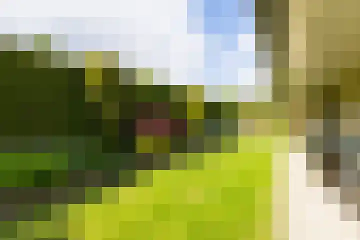 Apollaan 10 Rozendaal thumbnail 31