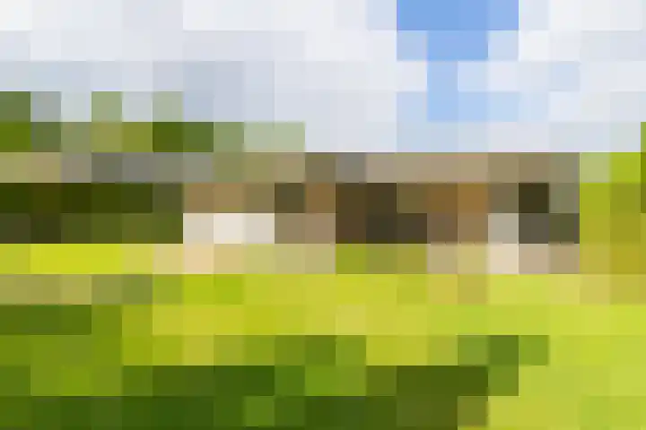 Apollaan 10 Rozendaal thumbnail 32