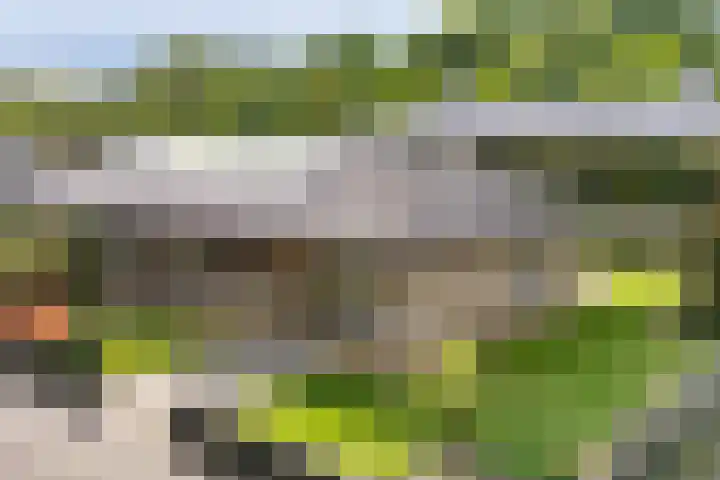 Apollaan 10 Rozendaal thumbnail 34