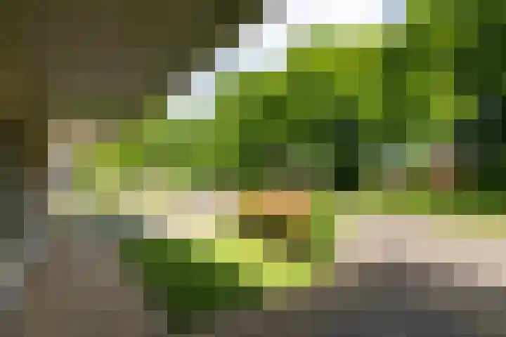Apollaan 10 Rozendaal thumbnail 4