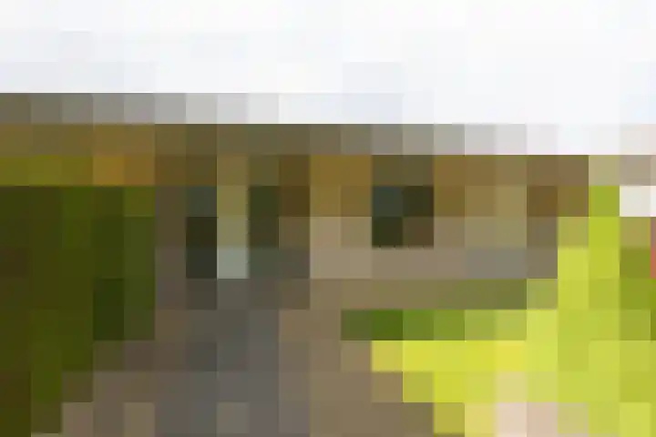 Apollaan 10 Rozendaal thumbnail 5