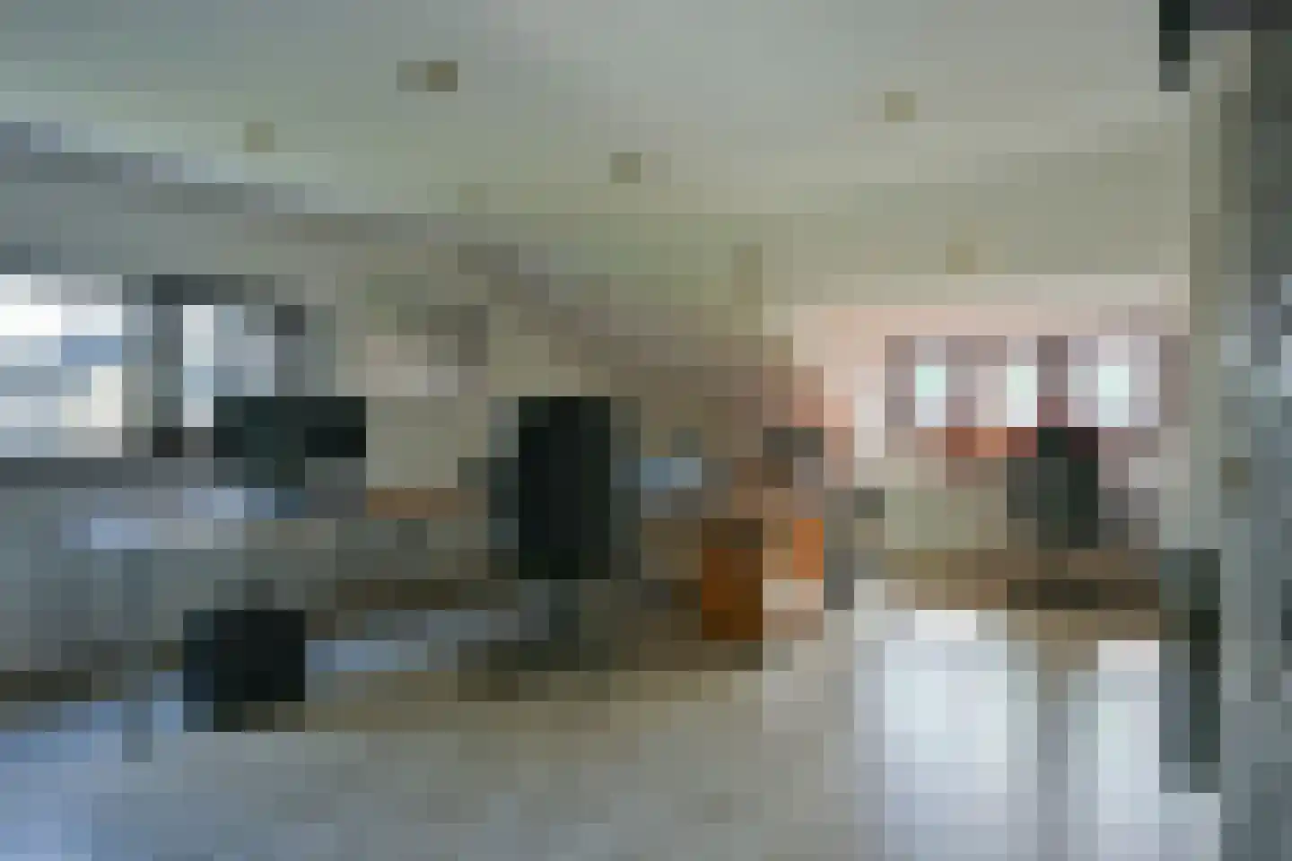 Apollo 11-laan 19 Holtum thumbnail 36