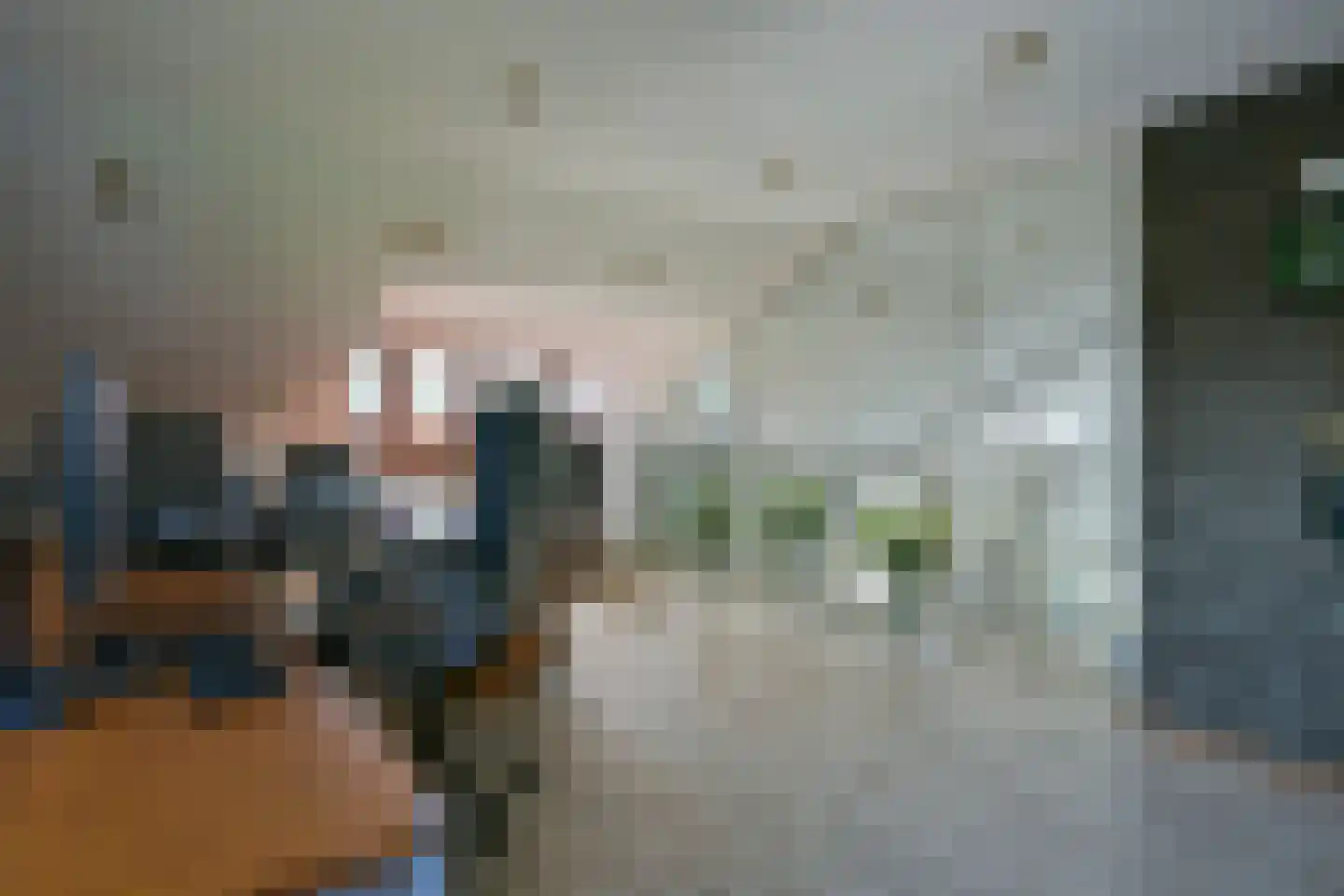 Apollo 11-laan 19 Holtum thumbnail 38