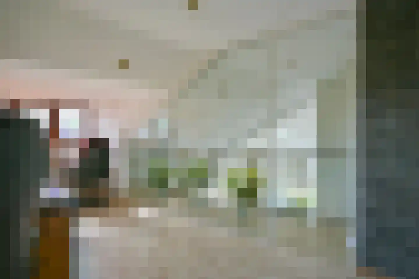 Apollo 11-laan 19 Holtum thumbnail 39