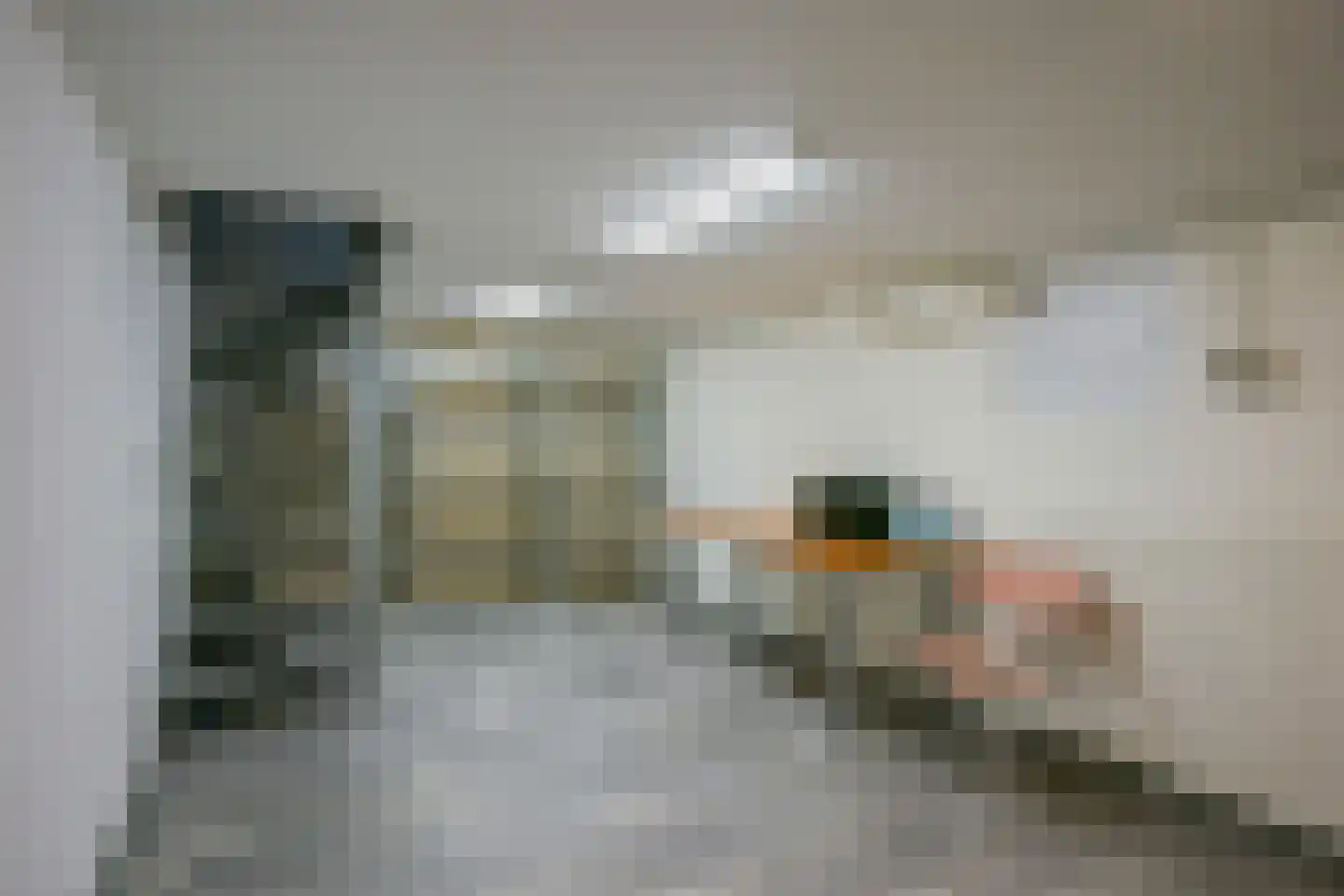 Apollo 11-laan 19 Holtum thumbnail 43