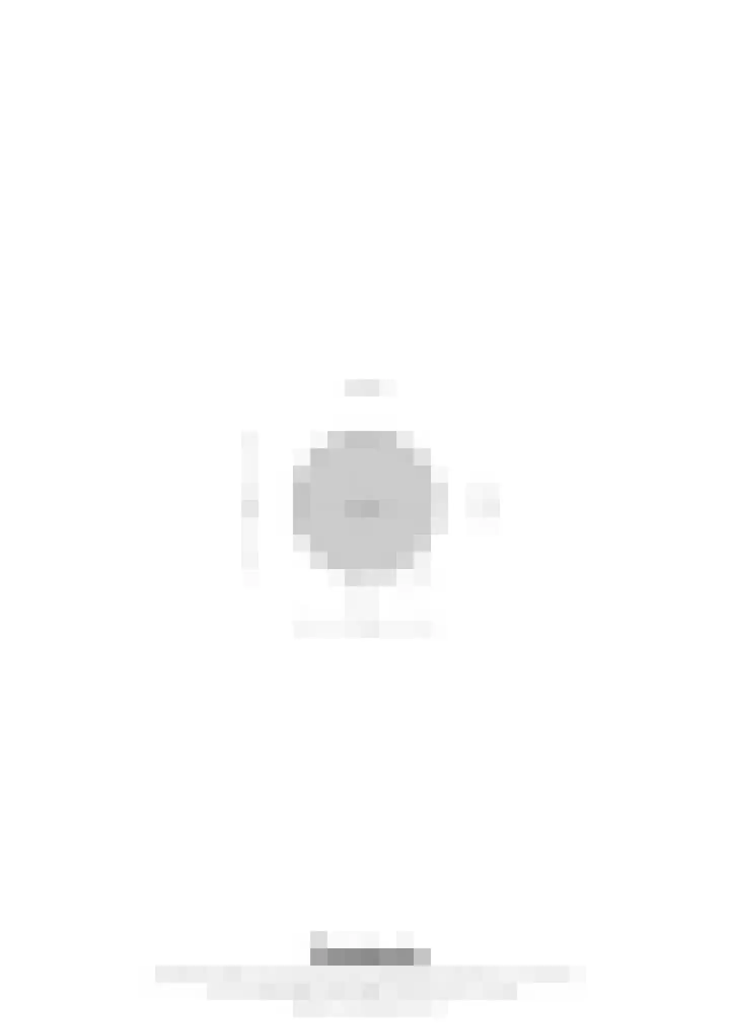 Apollo 11-laan 19 Holtum thumbnail 54
