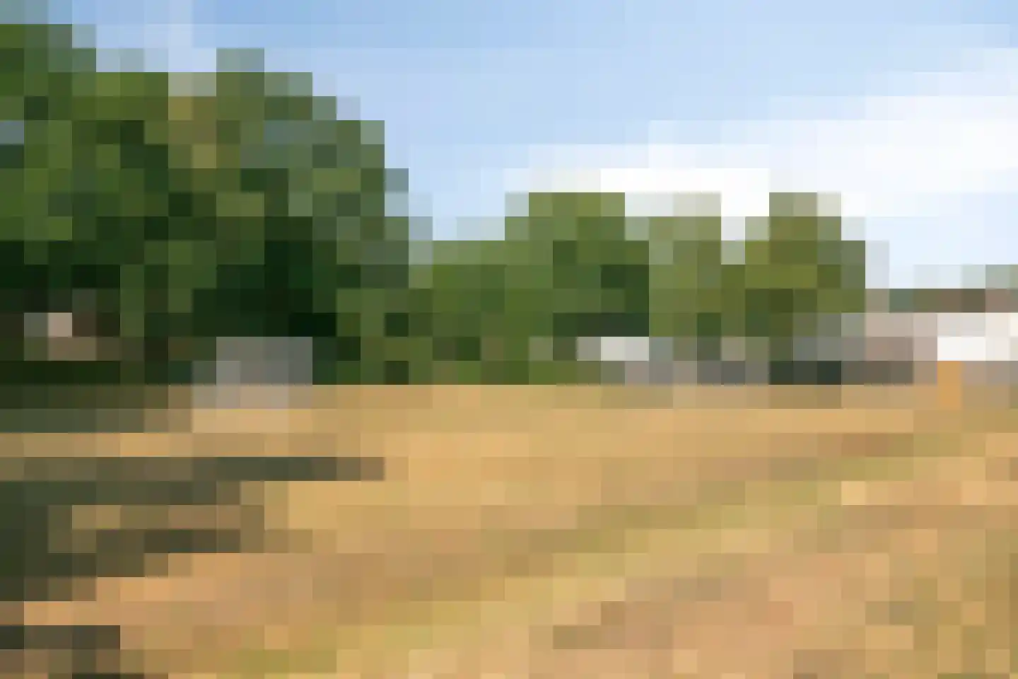 Apollo 198 Soesterberg thumbnail 37