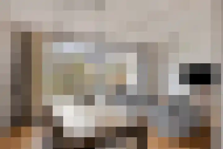 Apollo 23 Soesterberg thumbnail 10