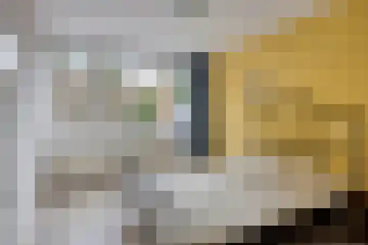 Apollo 23 Soesterberg thumbnail 14