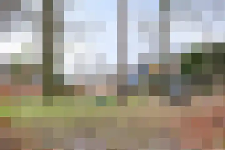 Apollo 23 Soesterberg thumbnail 30