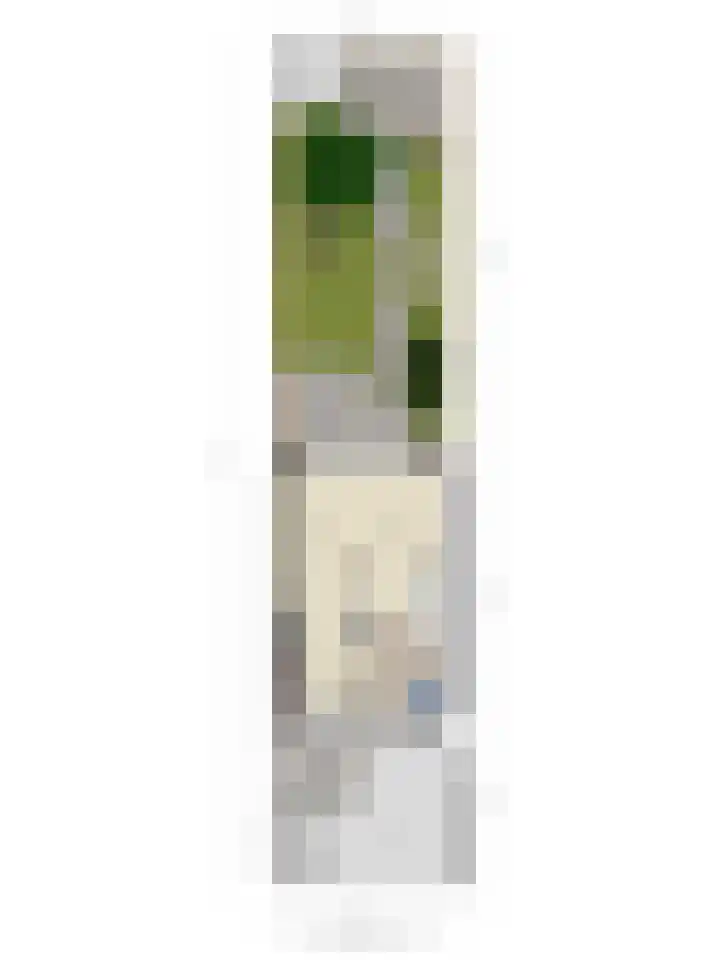 Apollo 23 Soesterberg thumbnail 34