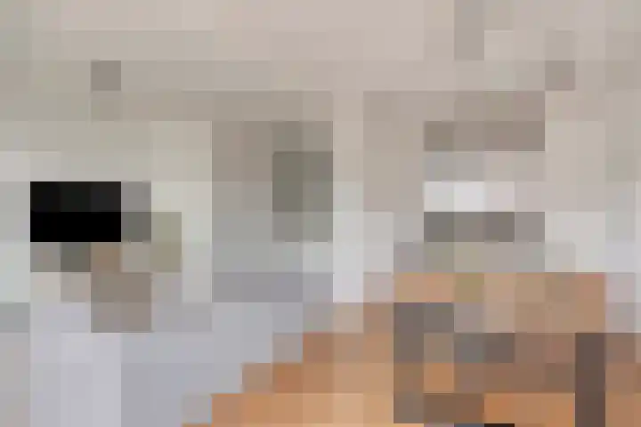Apollo 23 Soesterberg thumbnail 8