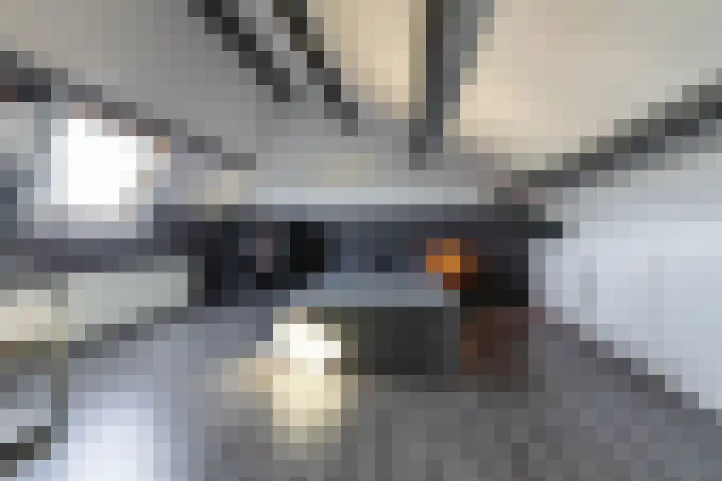 Apollo 26 Hoogezand thumbnail 39