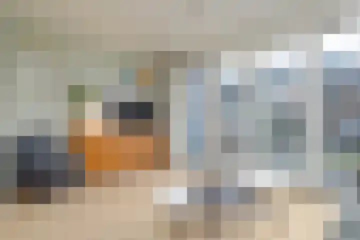 Apollo 27 Elst thumbnail 13