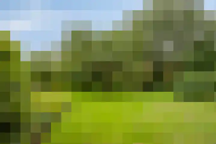 Apollo 27 Elst thumbnail 33