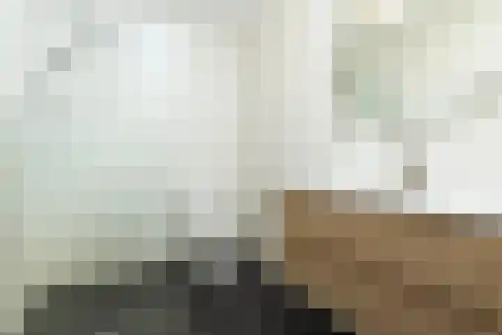 Apollo 27 Elst thumbnail 4
