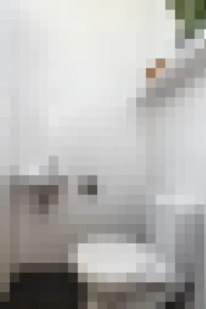 Apollo 27 Elst thumbnail 8