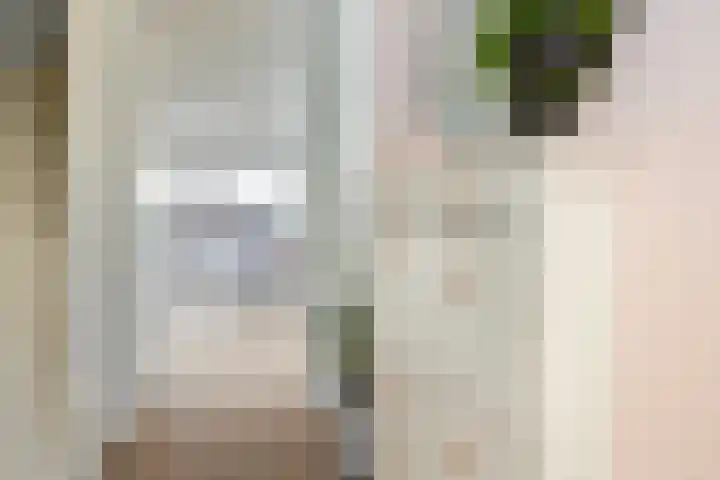 Apollo 27 Elst thumbnail 9