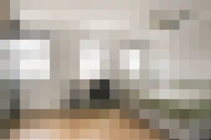 Apollo 38 Wijk bij Duurstede thumbnail 16