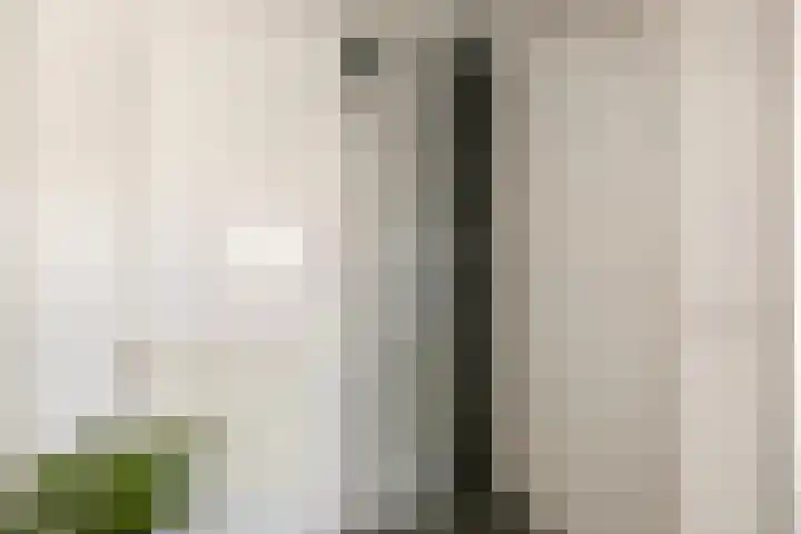Apollo 38 Wijk bij Duurstede thumbnail 20