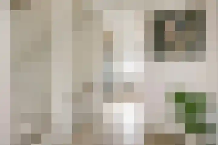Apollo 38 Wijk bij Duurstede thumbnail 21