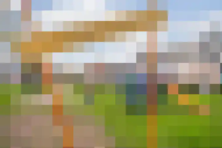 Apollo 38 Wijk bij Duurstede thumbnail 27