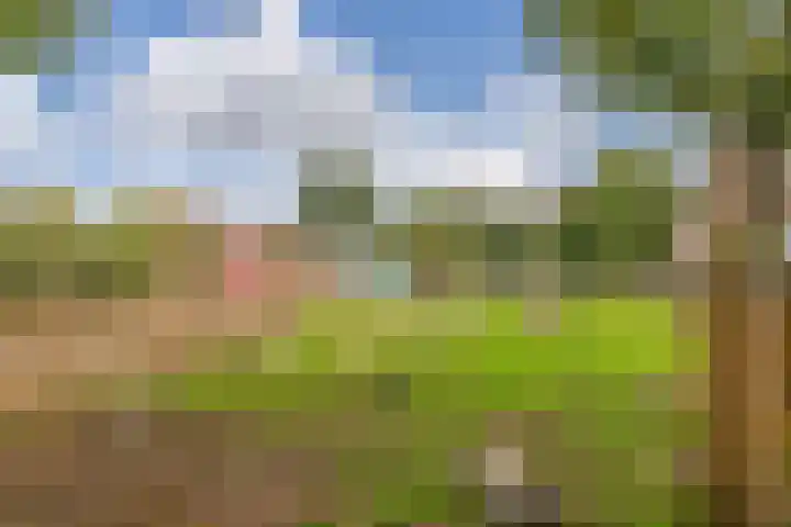 Apollo 38 Wijk bij Duurstede thumbnail 28