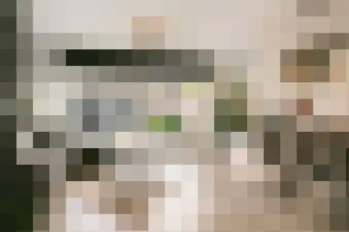 Apollo 38 Wijk bij Duurstede foto 3