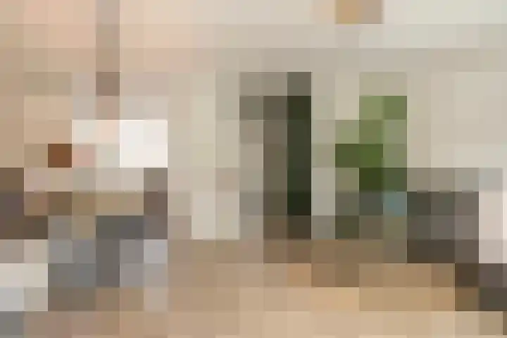 Apollo 38 Wijk bij Duurstede thumbnail 5