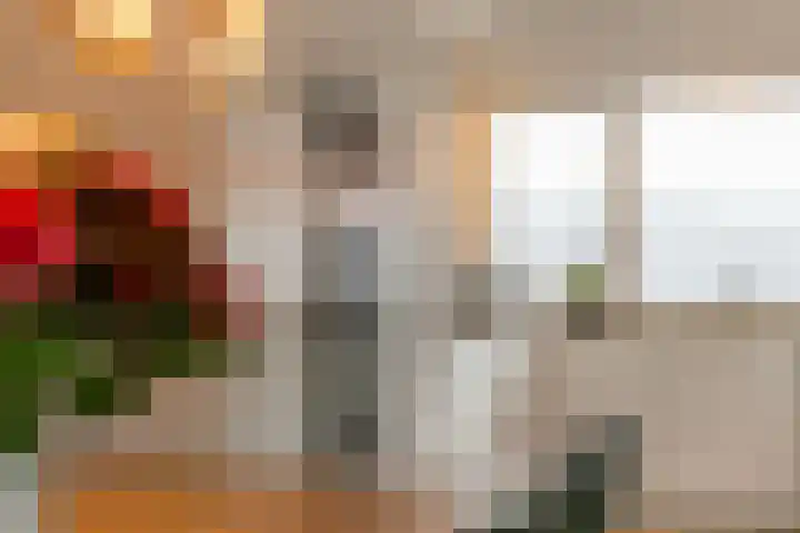 Apollo 38 Wijk bij Duurstede thumbnail 7