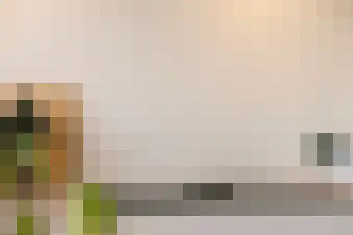 Apollo 38 Wijk bij Duurstede thumbnail 9